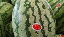 吃瓜爆料的真假如何辨别,真假难辨，如何慧眼识珠？